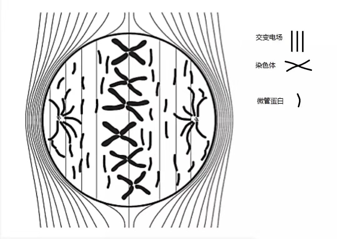 澳门太阳集团官网